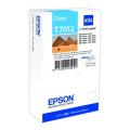 Epson drukas kasetne zils (C13T70124010 / T7012)